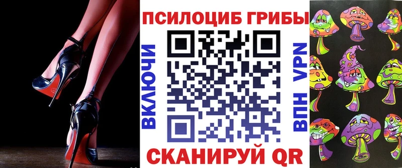 как найти   Новый Оскол  Псилоцибиновые грибы Cubensis 